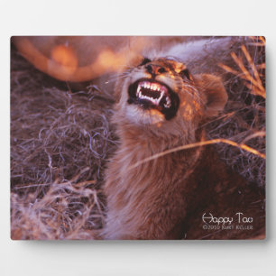 Happy Tau Fotoplatte