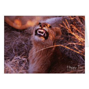 Happy Tau, Lächelnd Lion Cub