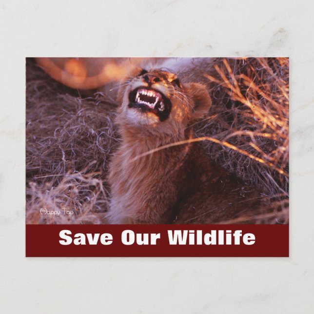 Happy Tau Rett Our Wildlife Postcard Postkarte (Vorderseite)