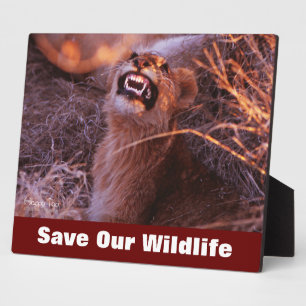 Happy Tau Rette unsere Wildnis Fotoplatte