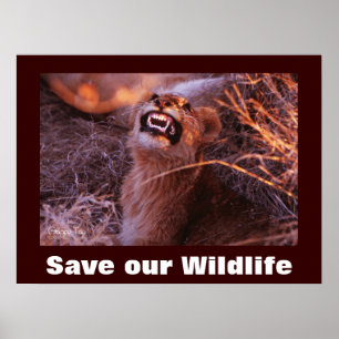 Happy Tau Save Our Wildlife Poster