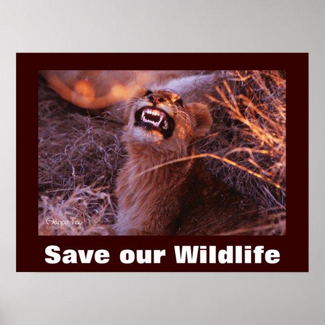 Happy Tau Save Our Wildlife Poster (Devant)