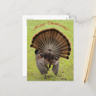 Happy Thanksgiving Feiertagspostkarte