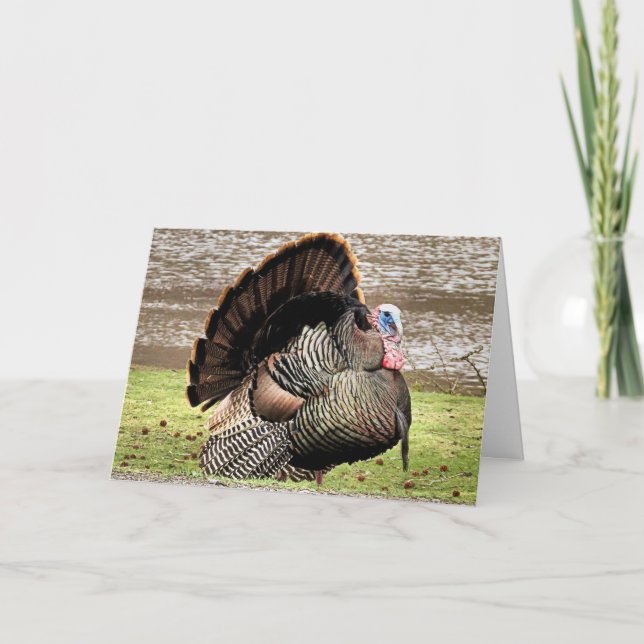 Happy Thanksgiving Karte (Vorderseite)