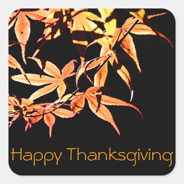 Happy Thanksgiving Maples Herbstfarben Sticker (Vorderseite)