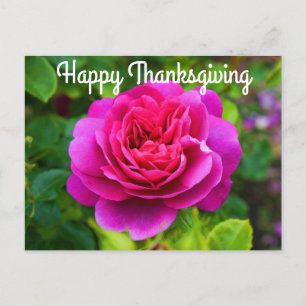 Happy Thanksgiving Princess Anne Rose #1 Postkarte