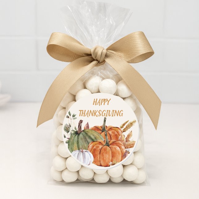 Happy Thanksgiving Pumpkins Orange Green White Runder Aufkleber (Happy Thanksgiving sticker)