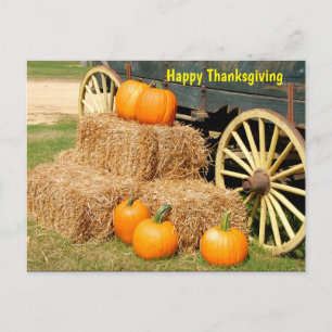 Happy Thanksgiving Pumpkins Postkarte