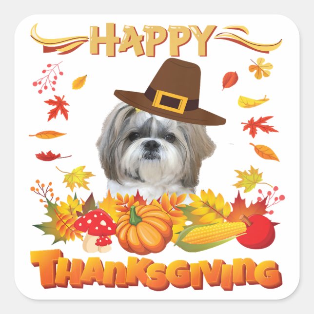 Happy Thanksgiving Shih Tzu Dog | Ich bin dankbar Quadratischer Aufkleber (Vorderseite)