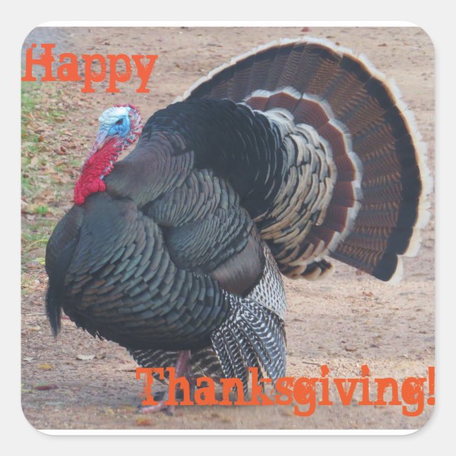 Happy Thanksgiving Turkey Foto Sticker (Vorderseite)