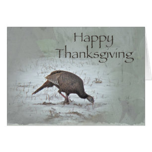 Happy Thanksgiving Wild Türkei