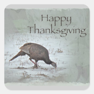 Happy Thanksgiving Wild Türkei Quadratischer Aufkleber