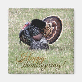Happy Thanksgiving Wild Turkey Magnet