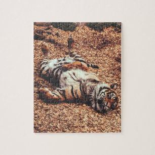 Happy Tiger Bly Up Rolling in Blätter