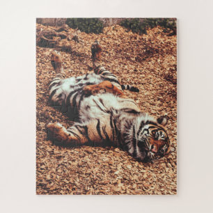 Happy Tiger Bly Up Rolling in Blätter