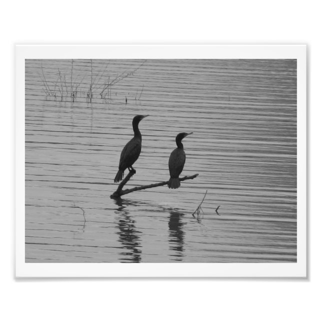 Happy Together Fotodruck (Vorne)