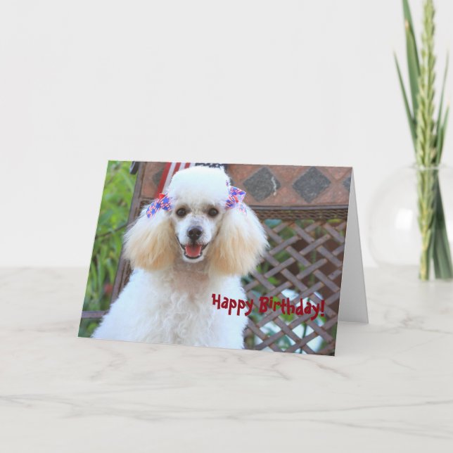 Happy Toy Poodle Dog Grußkarte Karte (Vorderseite)