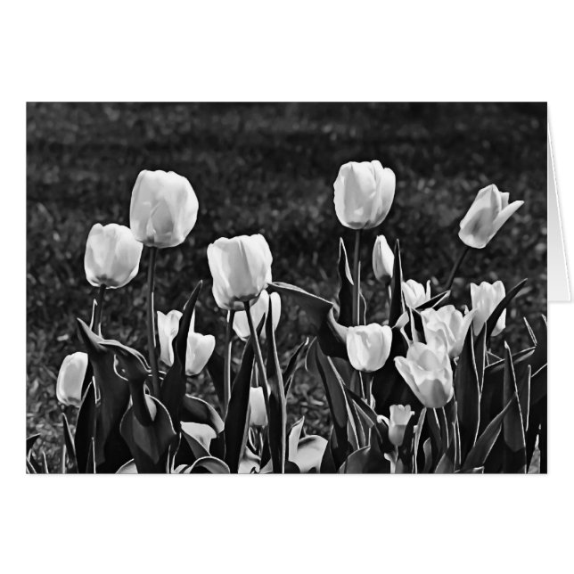 Happy Tulips Black und White (Vorderseite (Horizontal))