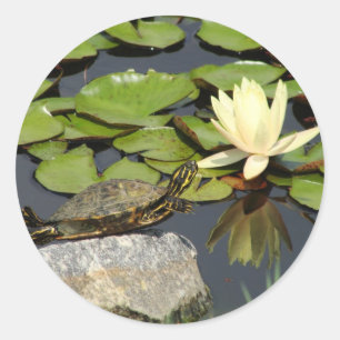 Happy Turtle in einem Lily Pond Runder Aufkleber