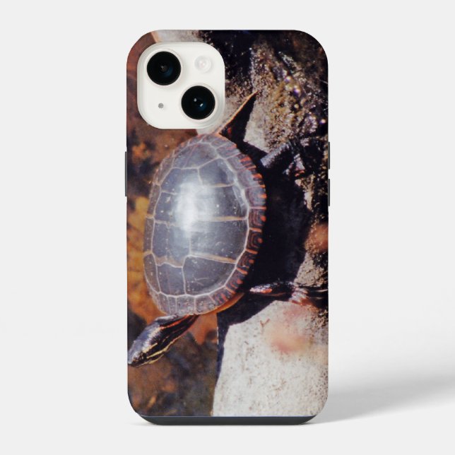 Happy Turtle iPhone Hülle (Rückseite)