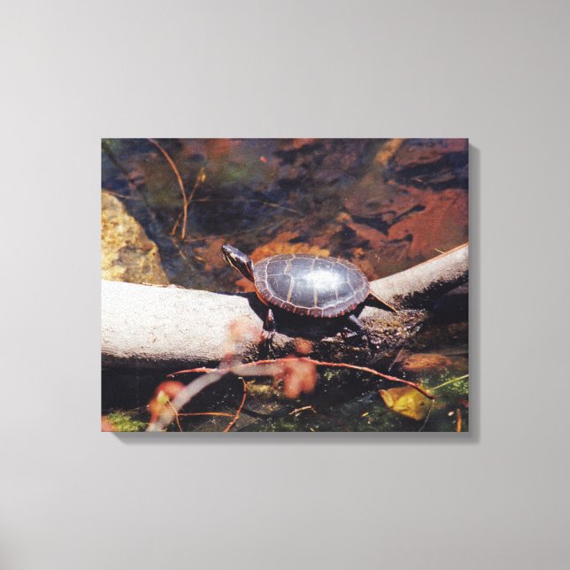 Happy Turtle Leinwanddruck (Vorderseite)