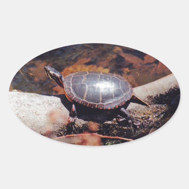Happy Turtle Ovaler Aufkleber (Vorderseite)