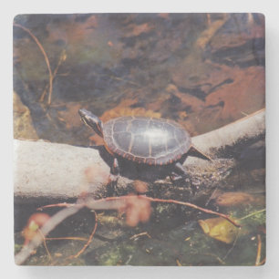 Happy Turtle Steinuntersetzer