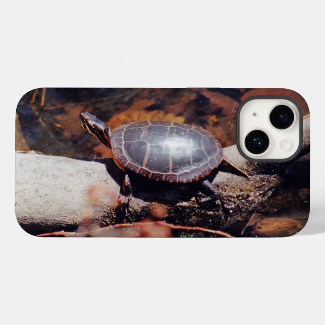 Happy Turtle title_seo2 (Rückseite (Horizontal))