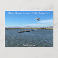 Happy Urban National Wildlife Refugium Day!