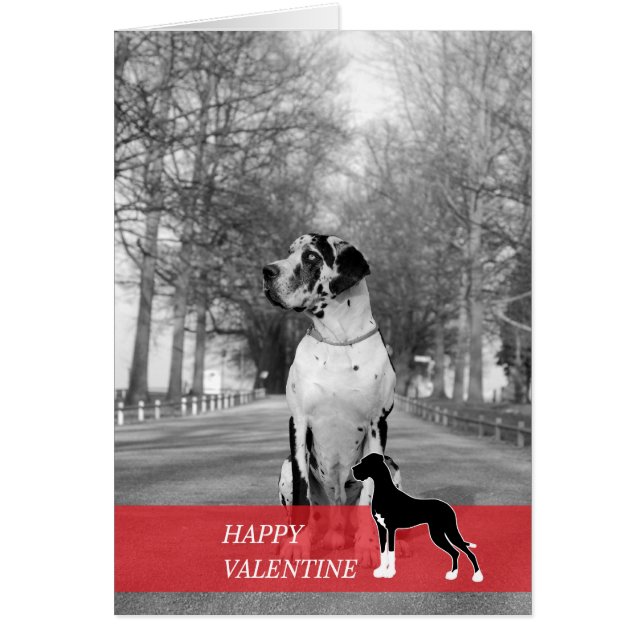 Happy Valentine (Vorne)