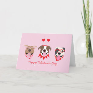 Happy Valentines Day American Pit Bull Terriers Feiertagskarte