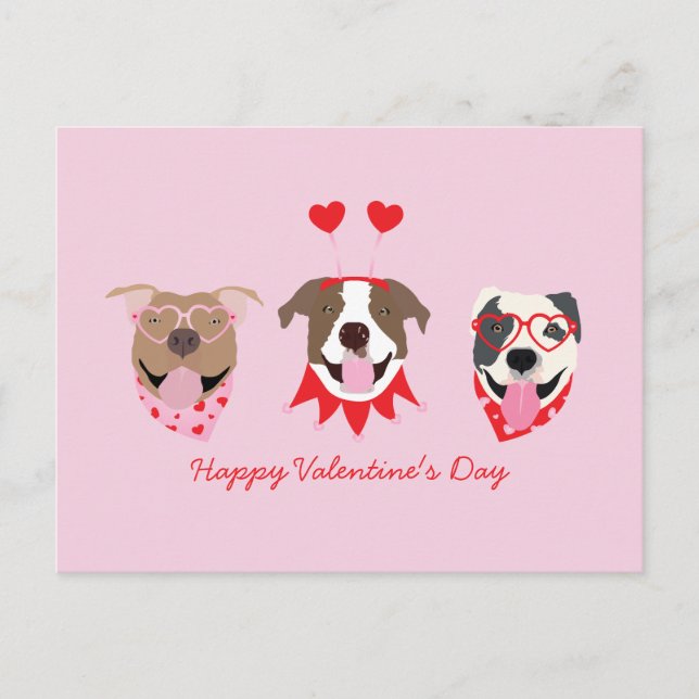 Happy Valentines Day American Pit Bull Terriers Postkarte (Vorderseite)