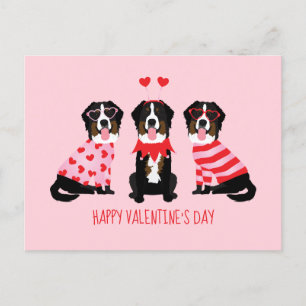 Happy Valentines Day Berner Hunde Postkarte
