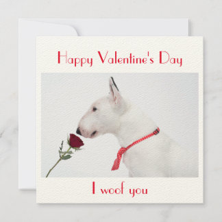 Happy Valentine's Day Bull Terrier with a Rose Karte