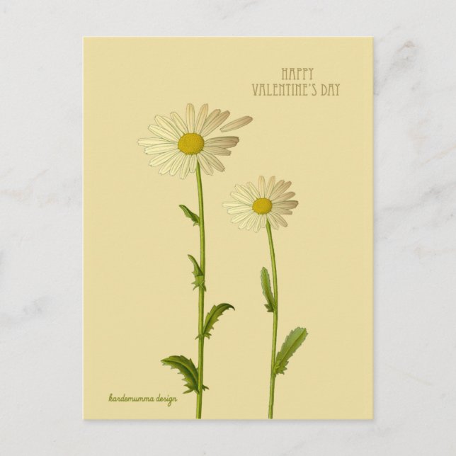 Happy Valentine's Day - Daisy Blume Feiertagspostkarte (Vorderseite)