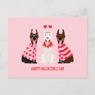 Happy Valentines Day Dobermann Hunde Postkarte