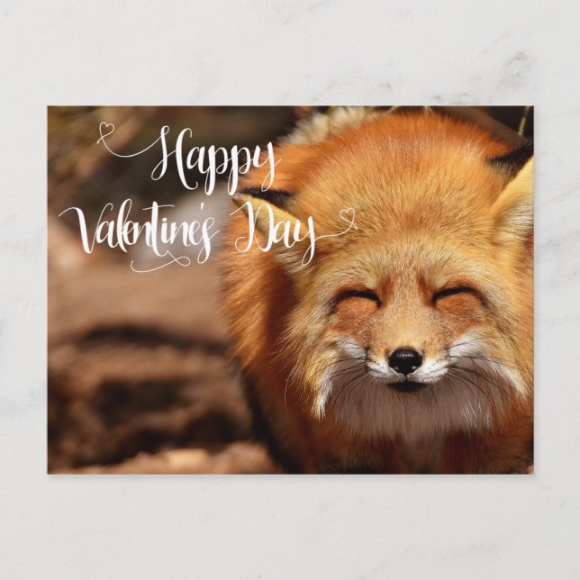 Happy Valentine's day Fox Postkarte (Vorderseite)