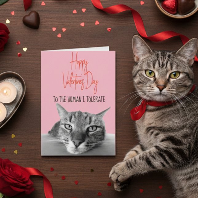 Happy Valentine's Day From Cat to Human Funny Karte (Von Creator hochgeladen)