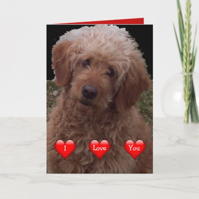 Happy Valentine's Day - Niedlicher Hund der Welt Karte (Vorderseite)