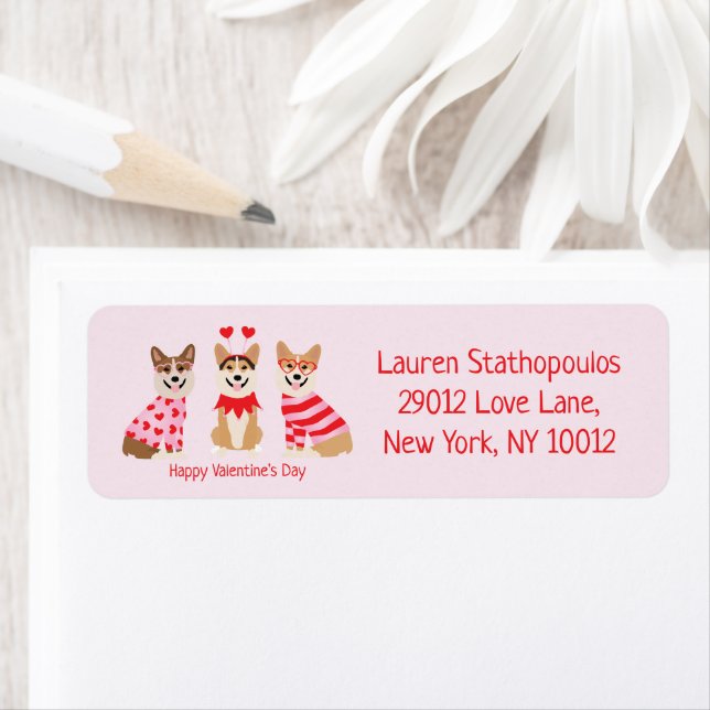 Happy Valentines Day Pembroke Welsh Corgi Hunde (Insitu)