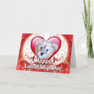 Happy Valentines Day Schnoodle Feiertagskarte