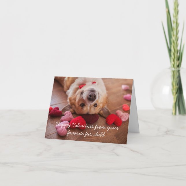 Happy Valentines Day von Ihrem Pelzkind Karte (Vorderseite)