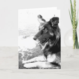 Happy Vatertag Belgische Schäferhundkarte Karte
