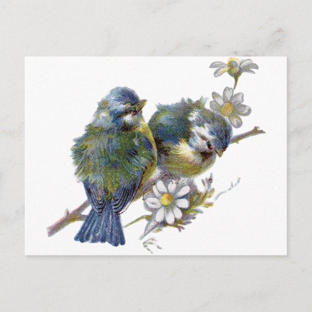 Happy Vintag Birds Postkarte (Vorderseite)