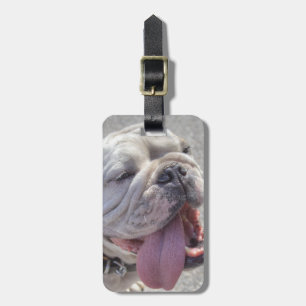 Happy White Bulldog Gepäckanhänger