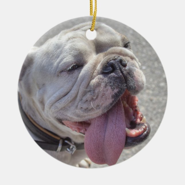 Happy White Bulldog Keramik Ornament (Vorne)