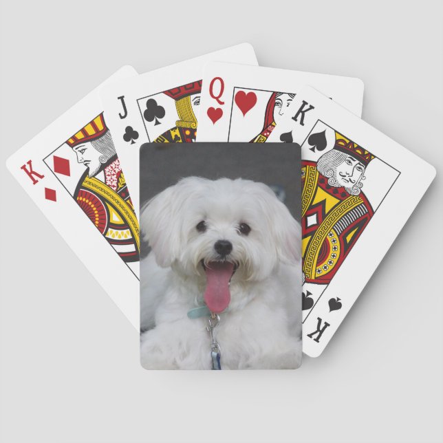 Happy White Maltese Puppy Dog Spielkarten (Rückseite)
