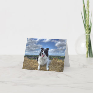 Happy Woof Day! FALTSCHACHTEL Karte