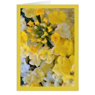 Happy Yellow Blooms - Song of Sol. 8:7 Gruß. Karte