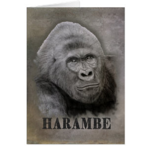Harambe (dessin de graphite)